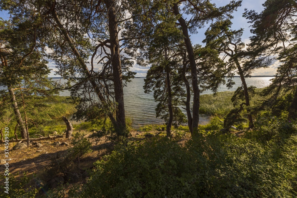 Fototapeta premium Gorgeous view of nature landscape on sunset. Blue sky and white clouds. Mirror surface Baltic sea with small water ripples. Beautiful backgrounds. 