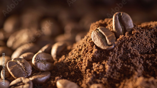 Coffee beans on a pile of finely ground coffee.