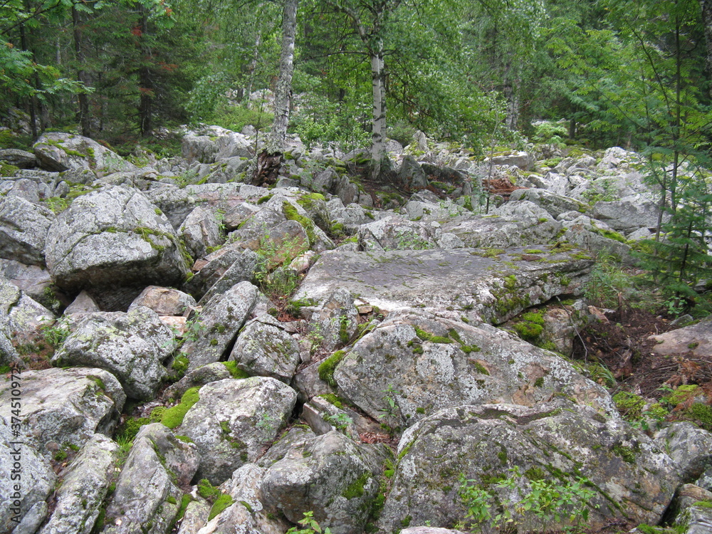 rocks in the woods