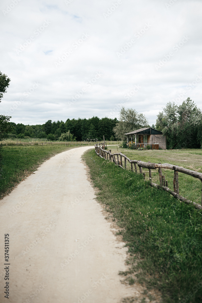 view over path through the native, lush greenery in the park district nature