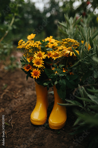 Rubber boots with beautiful flowers in garden