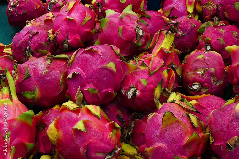 Fruit Glass Dragon Bright pink several effects. Natural Food Fruit Glass Dragon Bright pink several effects. Natural Food