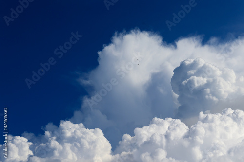 Cumulus Clouds with seagulls in the centre