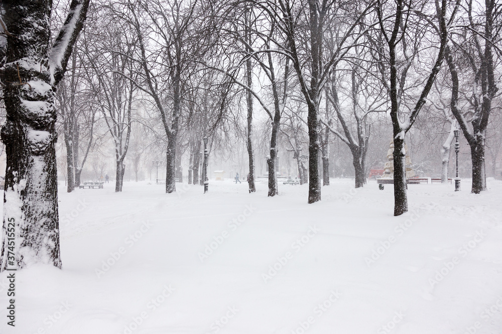 Snowfall. Urban streets and parks during a heavy snowfall in winter.