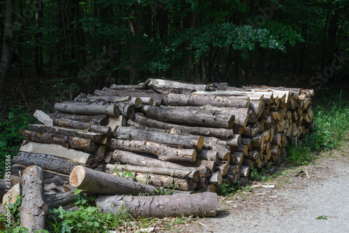 tas de bois de chauffe.  photo