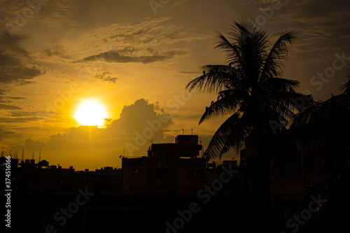 silhouette of a coconut tree at sunset