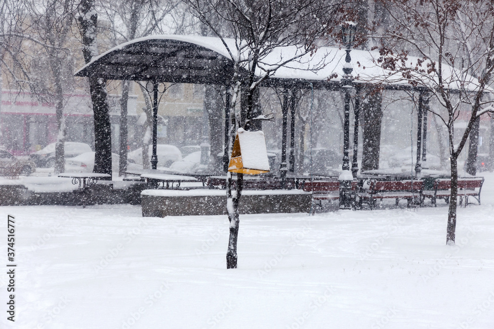 Fototapeta premium Odessa, Ukraine - January 16, 2018: Bird feeder in winter city park during snowfall
