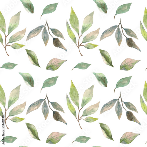 Watercolor illustration. Seamless pattern of greenery, branches with leaves and foliage on a white background.