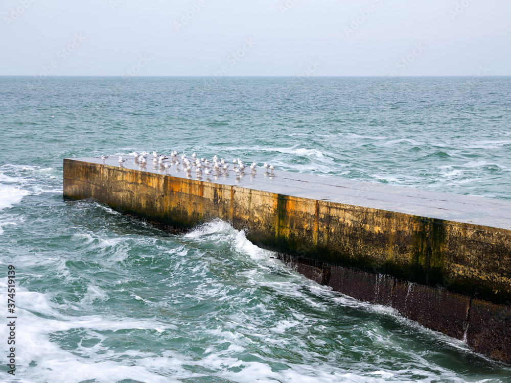 Seascape. Old stone pier with sitting standing seagulls and blue sea water.