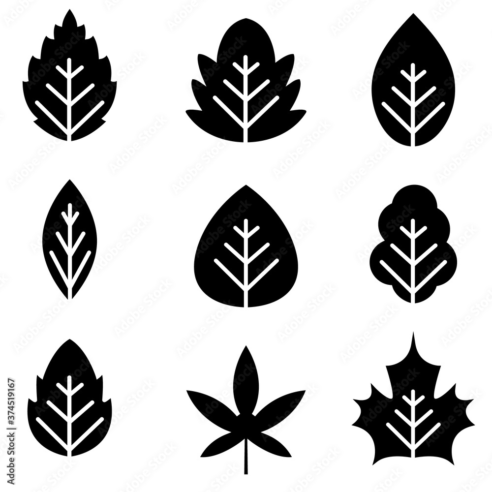 Obraz premium Leaf icon, logo isolated on white background
