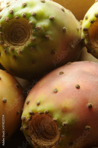 Opuntia ficus-indica ft0208_9847 Fichi d'india Опунция индийская photo