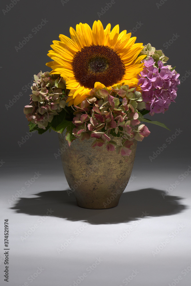 custom made wallpaper toronto digitalSonnenblumenblüte und Hortensien aus dem Garten