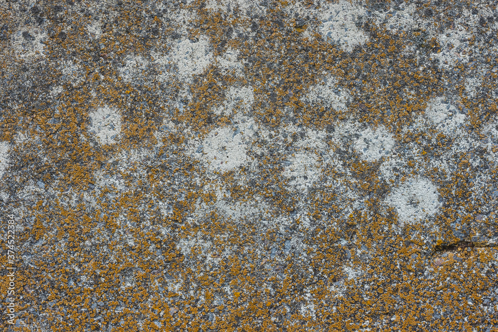 The old concrete surface is covered with lichens The old concrete surface is covered with lichens