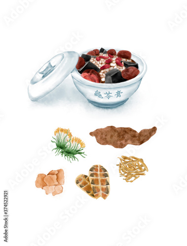 Watercolor Illustration of Chinese Snack - Tortoise Jelly, with its ingredients: honeysuckle, rehmannia, China roots, tortoise plastron, and honeysuckle | 龟苓膏
 photo