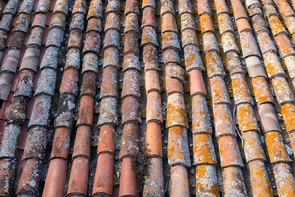 Aerial view of some clay tiles worn by time
A succession of clay tiles seen from above