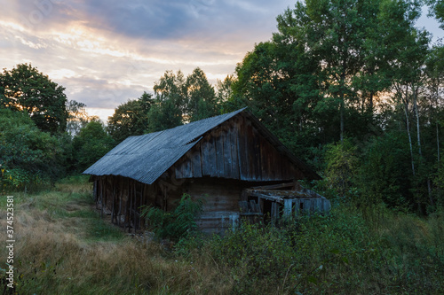Abandoned old wooden house among the green trees and tall grass. Rural landscape. Evening