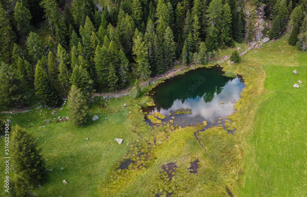 Covel lake in summer. Panoramic view of Covel lake in Pejo Valley, Trentino Alto Adige, northern Italy - Stelvio National Park. Val di Pejo