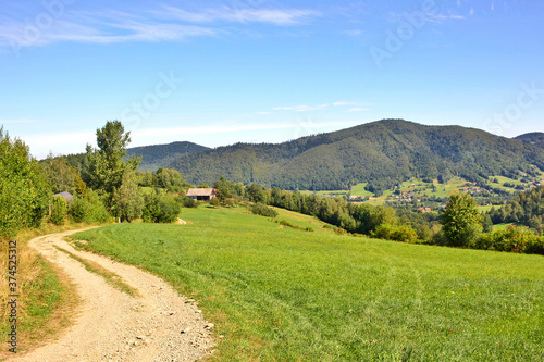 Mountains summer landscape. Dirt road through the green fields and forest on a blue sky with white clouds