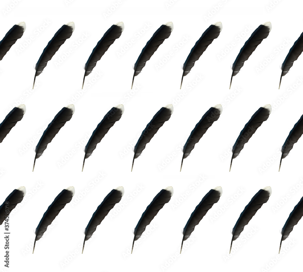 pattern of bird feathers pattern of bird feathers