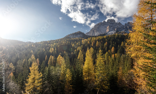 Wonderful nature image of mountain forest landscape. scenic photo of autumn forest and vivid blue sky, under sunlight. stunning natural background. Picturesque Scenery of Dolomites alps. Italy