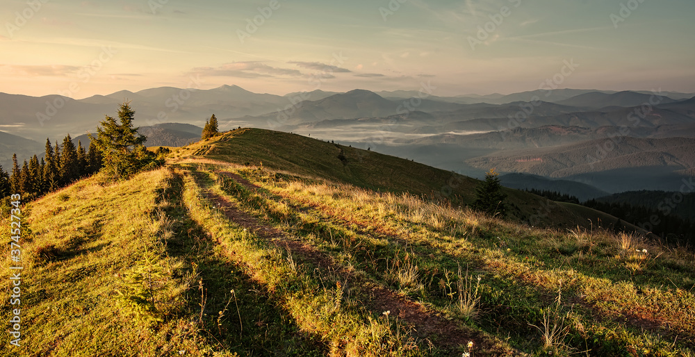 Naklejka premium Wonderful nature morning scenery. Mountain valley with ground road. landscape during Sunset. Scenic image of Carpathian mountains with fog under sunlight. Amazing natural background,