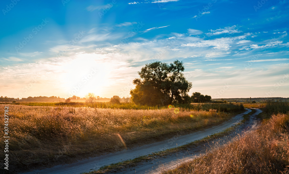 Empty countryside road through fields with dry grass.