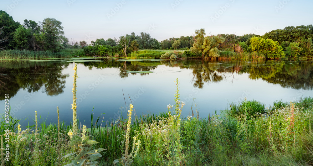 Fototapeta premium Big lake with clear water near summer forest.