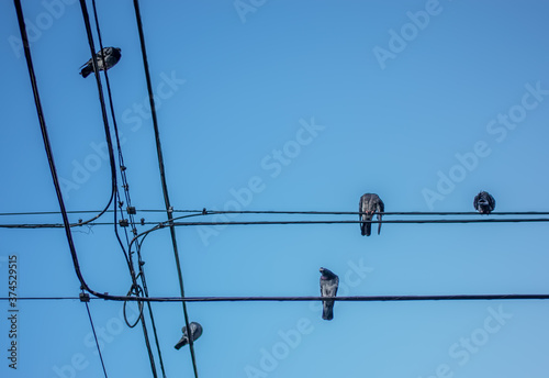 power lines on a blue sky