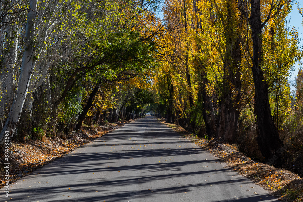 Beautiful empty road in autumn. Beautiful empty road in autumn.