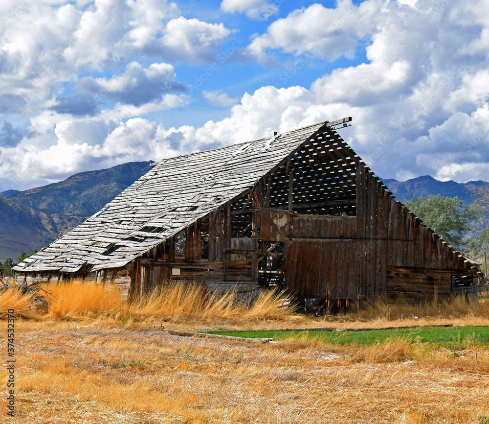 custom made wallpaper toronto digitalold barn in the countryside