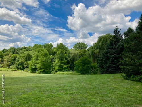 summer landscape with blue sky and trees