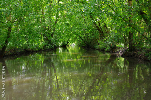 Marais poitevin