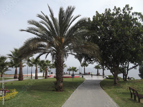 Parque público con árboles y gente frente al mar