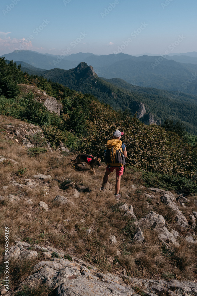 A dog traveler and its human owner with a backpack walk in the national Park and enjoy nature. A girl traveler and her German shepherd stand on a hill and look at the mountains around.
