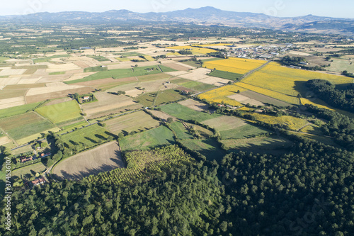 Aerial view of sunflower fields in Bolsena. In Viterbo photo