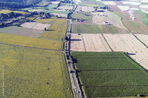 Aerial view of sunflower fields in Bolsena. In Viterbo photo