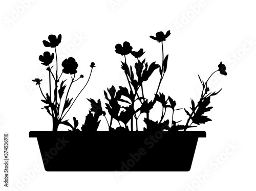 flowers in planter