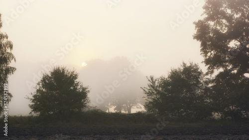 September sunrise over fields, autumn morning, sun, trees © Piotr