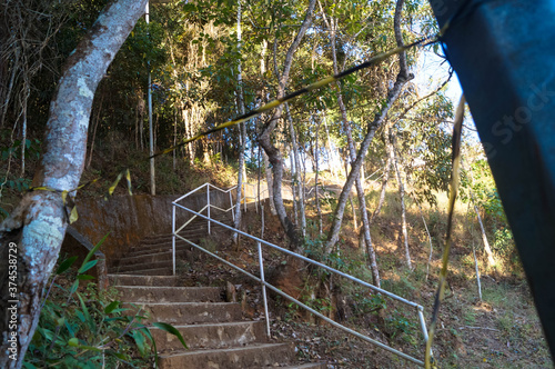 uma escadaria de um parque florestal com belas árvores com folhas verdes