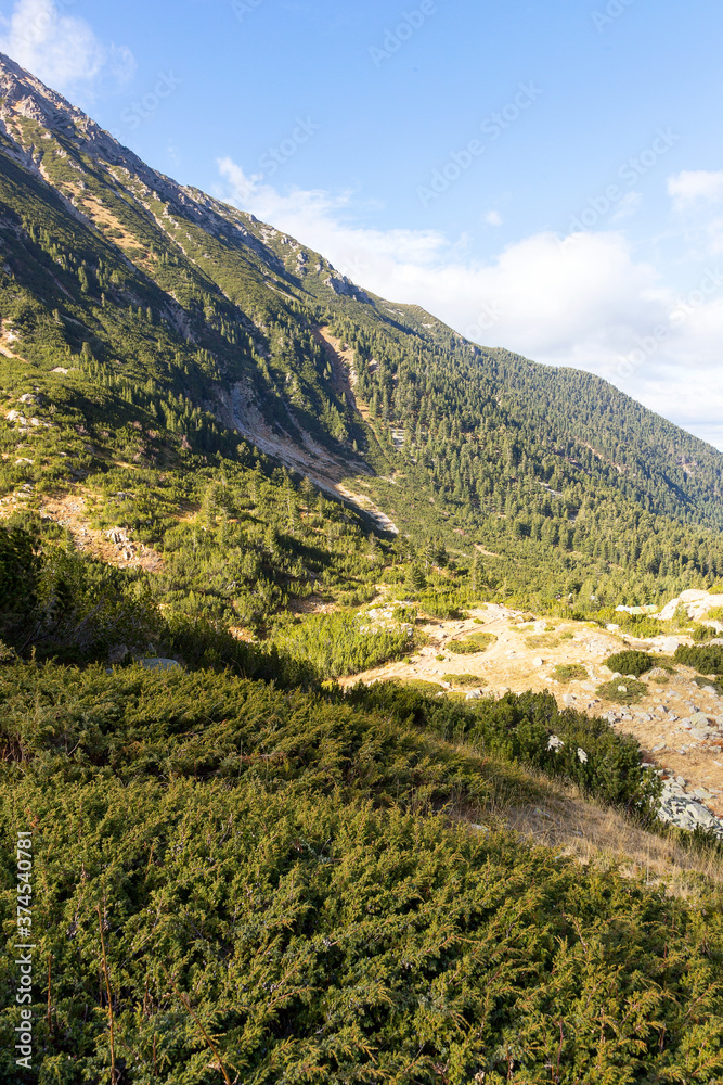 Beautiful authentic rocky landscape of the Pyrenees. Bulgaria. Natural mountain landscape as background.