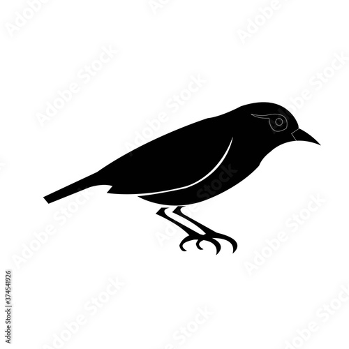 Silhouette Logo