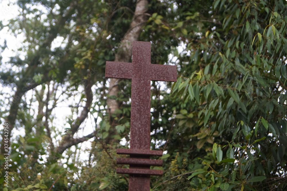 uma cruz enferujada com um fundo da floresta uma cruz enferujada com um fundo da floresta