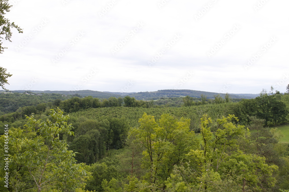 Vue dans les Ardennes Vue dans les Ardennes