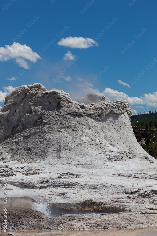 Castle Geyser at Yellowstone National Park