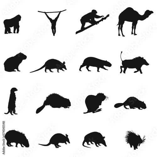 animal silhouettes on white background