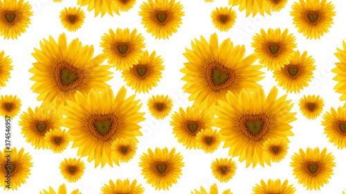Pattern flower sunflower heart-shaped white background
