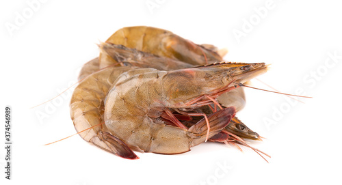 Raw shrimp isolated on white background. Raw prawns. © vandycandy