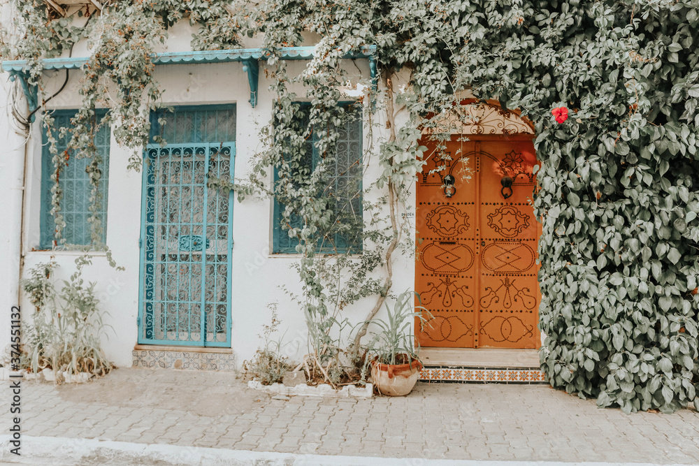 Fototapeta premium tunisia,