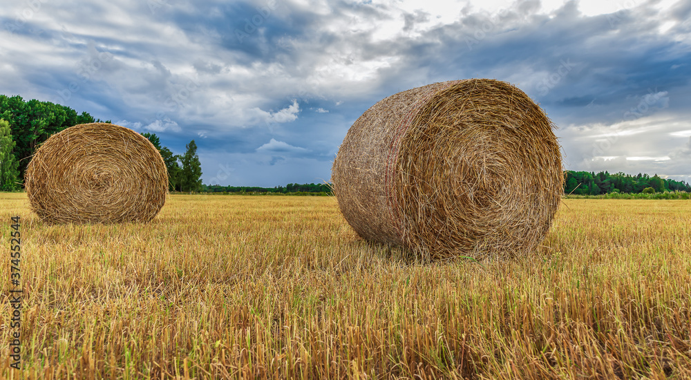 Swedish landscape with rolled grass in the fields that the farmers work with during the month of July and August. Swedish landscape with rolled grass in the fields that the farmers work with during the month of July and August.