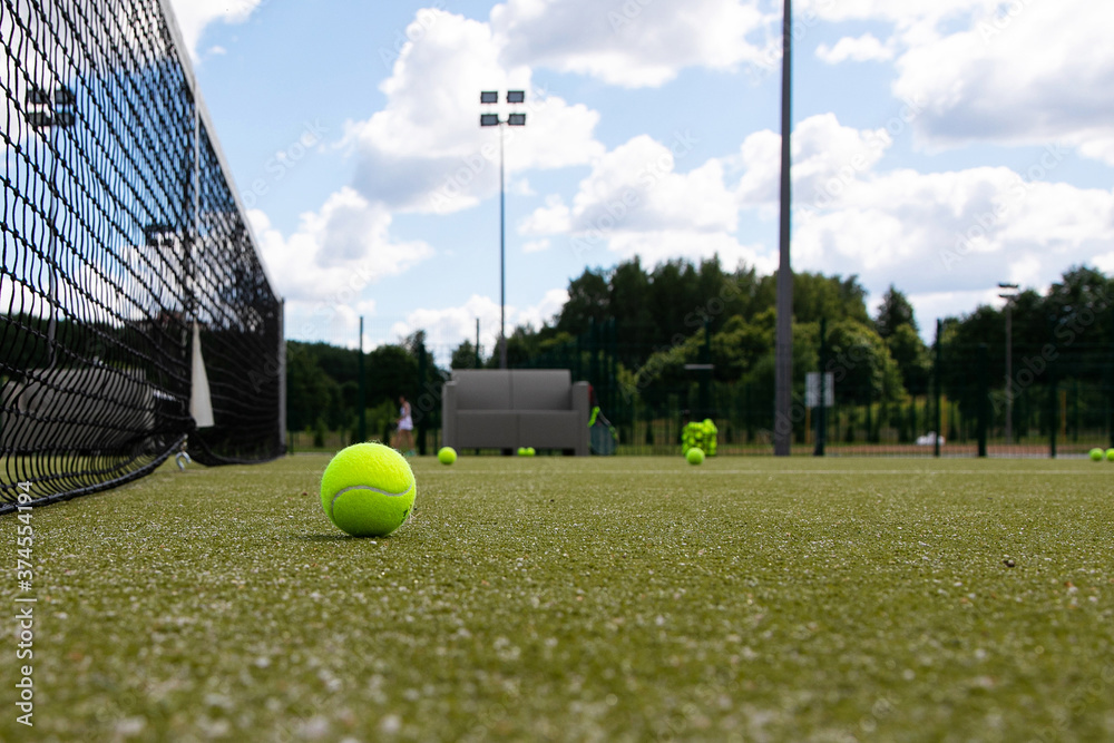 the tennis ball lies near the net on the court